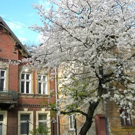 At Anchevskih 3 Daire Lviv