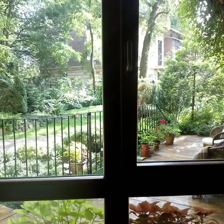 At Anchevskih 3 Lviv