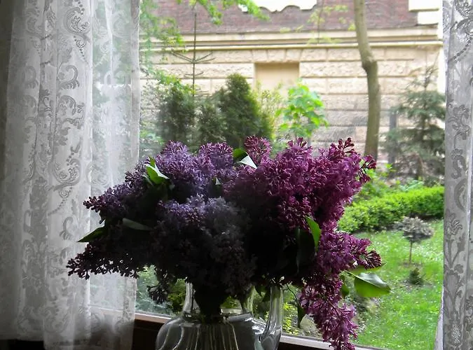 At Anchevskih 3 Lägenhet