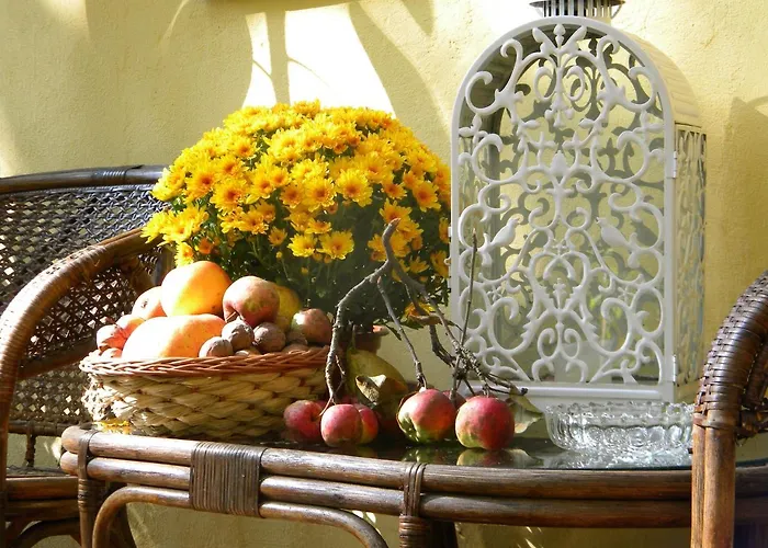 At Anchevskih 3 Lviv