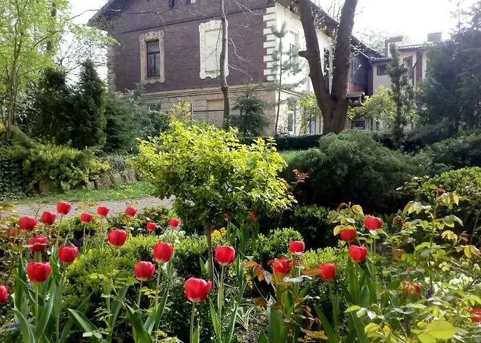 At Anchevskih 3 Lviv