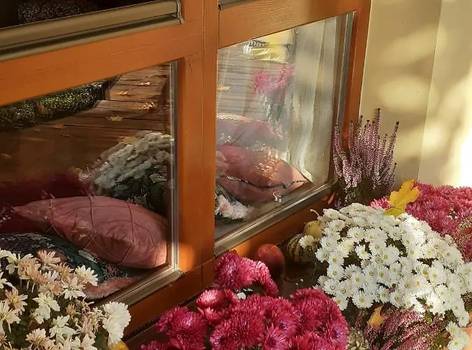 At Anchevskih 3 * リヴィウ