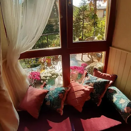 At Anchevskih 3 * Lvov