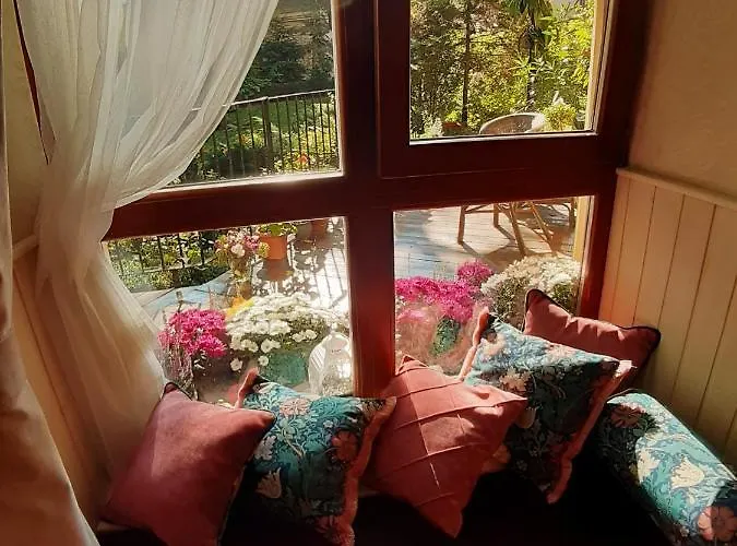 At Anchevskih 3 * Lviv